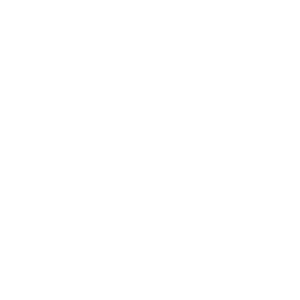 Shopware - white -300