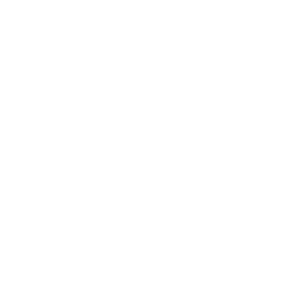 BigCommerce - white -300