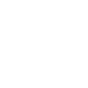 Salesforce - white -300
