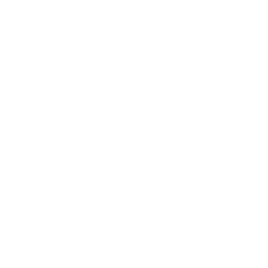 Shopify - white -300