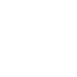 VTex - white -300